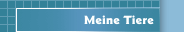 Meine Tiere